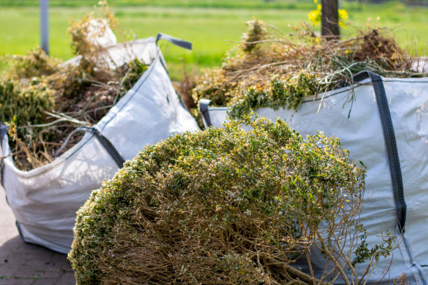 Best Construction Debris Removal  in Lamont, MI