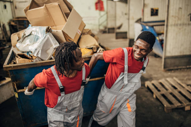 Yard Cleanup Services in Lamont, MI